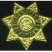 HAWAII STATE SHERIFF DEPARTMENT PIN MINI BADGE PIN